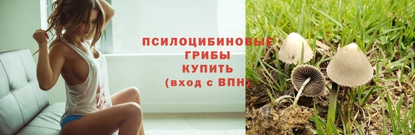каннабис Алзамай