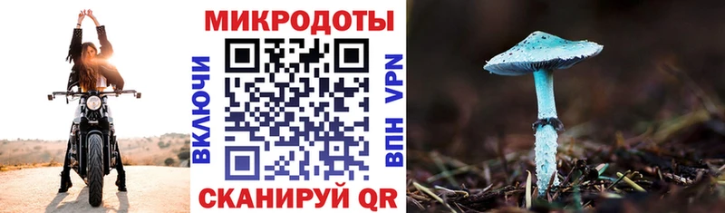 Псилоцибиновые грибы MAGIC MUSHROOMS  купить  цена  Данков 